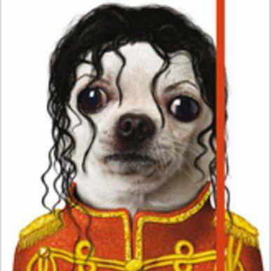 Saorma - 2295734408556226658961281748822n.jpg